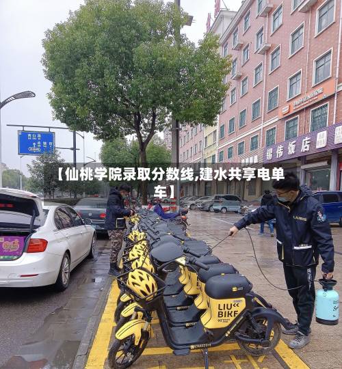 【仙桃学院录取分数线,建水共享电单车】-第3张图片