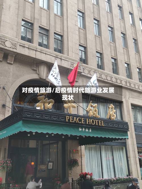 对疫情旅游/后疫情时代旅游业发展现状-第2张图片