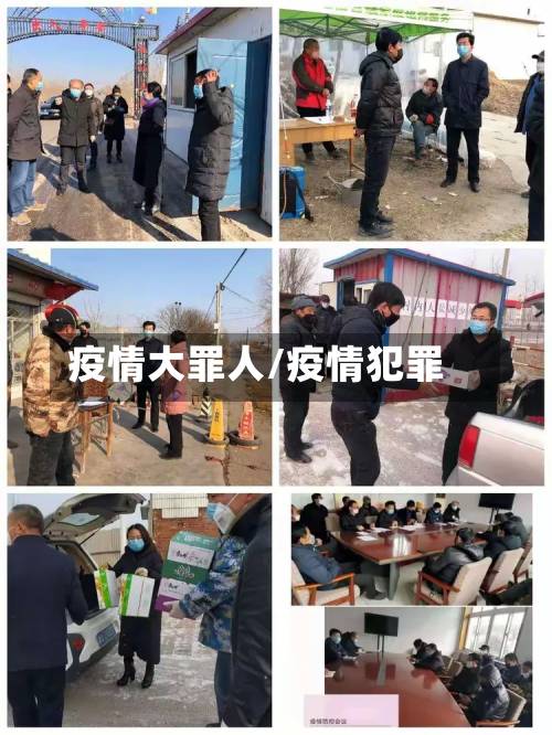 疫情大罪人/疫情犯罪