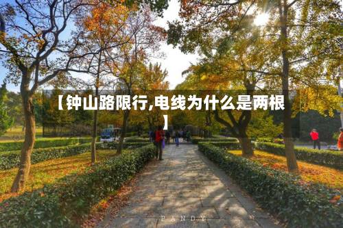 【钟山路限行,电线为什么是两根】