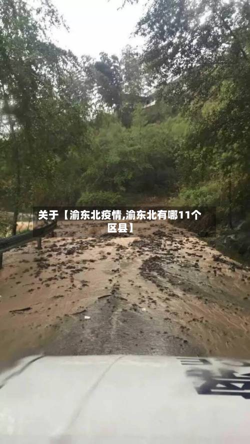 关于【渝东北疫情,渝东北有哪11个区县】-第1张图片