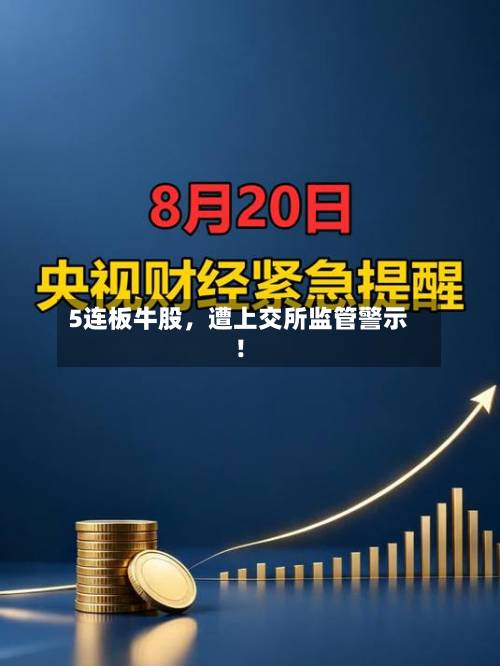 5连板牛股	，遭上交所监管警示！-第2张图片