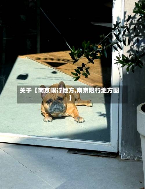 关于【南京限行地方,南京限行地方图】-第1张图片
