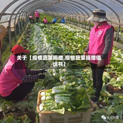 关于【疫情蔬菜捐赠,疫情蔬菜捐赠倡议书】-第1张图片