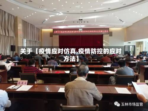 关于【疫情应对仿真,疫情防控的应对方法】