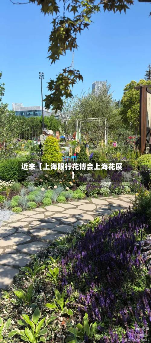 近来【上海限行花博会上海花展】-第2张图片