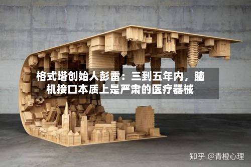 格式塔创始人彭雷：三到五年内，脑机接口本质上是严肃的医疗器械-第2张图片