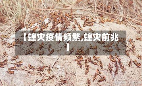【蝗灾疫情频繁,蝗灾前兆】-第2张图片