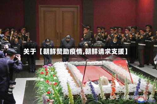 关于【朝鲜赞助疫情,朝鲜请求支援】