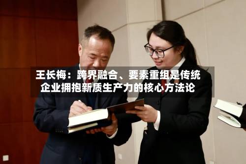 王长梅：跨界融合	、要素重组是传统企业拥抱新质生产力的核心方法论-第2张图片