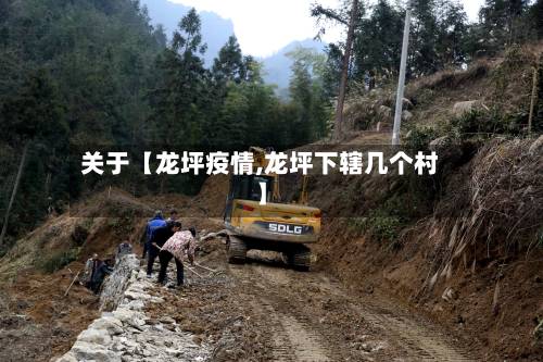 关于【龙坪疫情,龙坪下辖几个村】