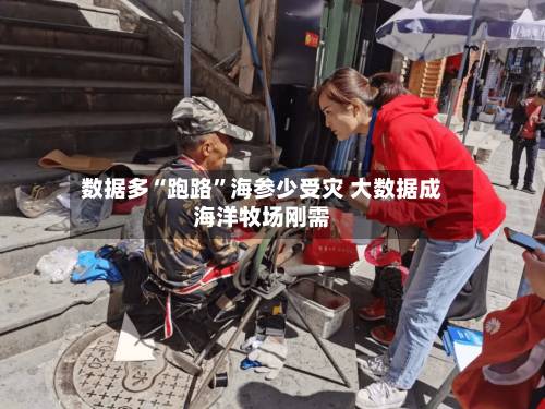 数据多“跑路	”海参少受灾 大数据成海洋牧场刚需-第3张图片