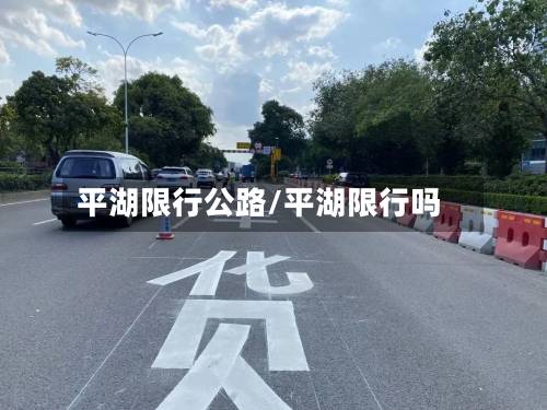 平湖限行公路/平湖限行吗-第2张图片