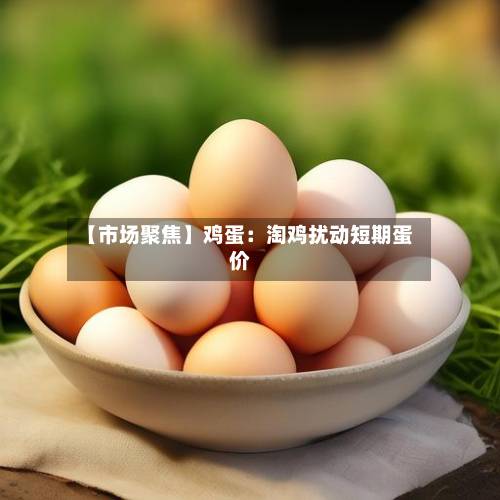 【市场聚焦】鸡蛋:淘鸡扰动短期蛋价-第1张图片