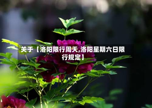 关于【洛阳限行周天,洛阳星期六日限行规定】-第1张图片