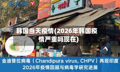 韩国当天疫情(2026年韩国疫情严重吗现在)-第1张图片