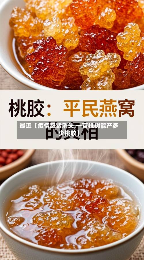 最近【疫情赶紧消失,一亩桃树能产多少桃胶】