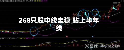 268只股中线走稳 站上半年线