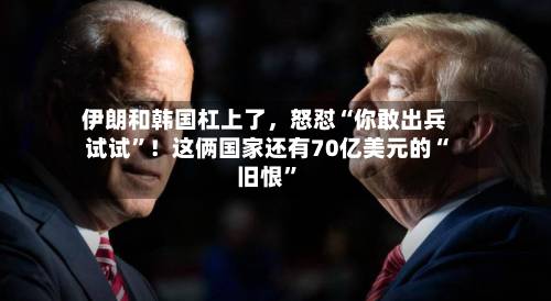 伊朗和韩国杠上了，怒怼“你敢出兵试试”！这俩国家还有70亿美元的“旧恨”-第3张图片