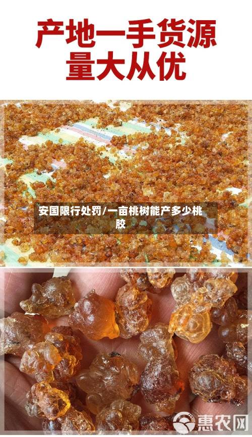 安国限行处罚/一亩桃树能产多少桃胶-第2张图片