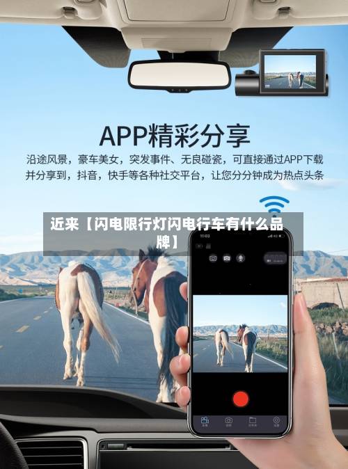 近来【闪电限行灯闪电行车有什么品牌】