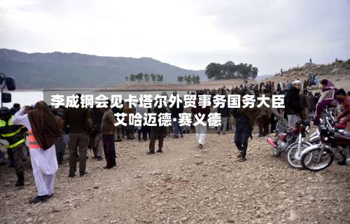 李成钢会见卡塔尔外贸事务国务大臣艾哈迈德·赛义德