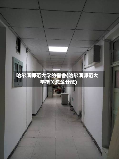 哈尔滨师范大学的宿舍(哈尔滨师范大学宿舍怎么分配)-第3张图片