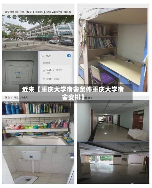 近来【重庆大学宿舍条件重庆大学宿舍安排】
