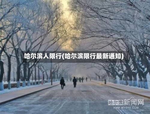 哈尔滨人限行(哈尔滨限行最新通知)-第2张图片