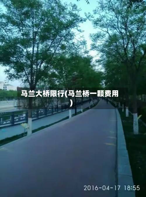 马兰大桥限行(马兰桥一颗费用)-第2张图片