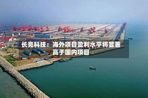 长亮科技:海外项目盈利水平将显著高于国内项目-第1张图片