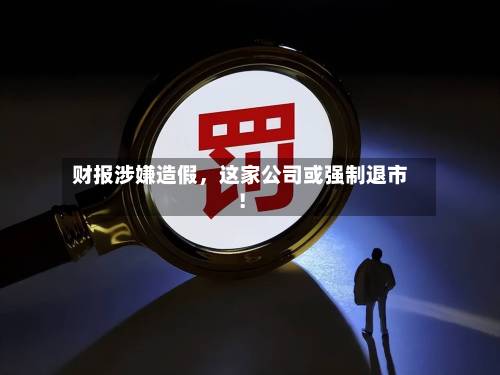 财报涉嫌造假	，这家公司或强制退市！-第2张图片