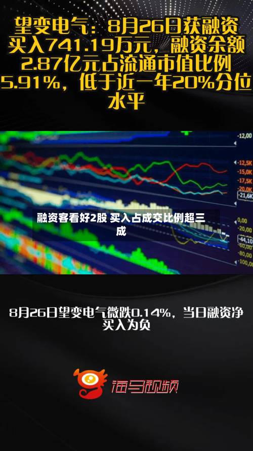 融资客看好2股 买入占成交比例超三成