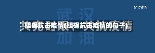 阻碍抗击疫情(阻碍抗击疫情的句子)-第2张图片