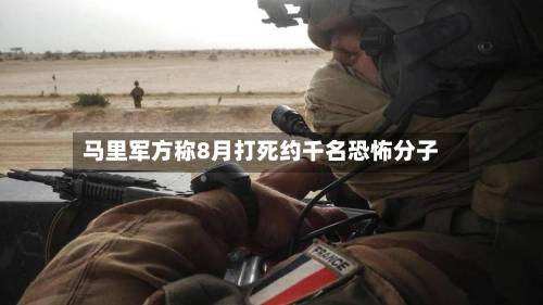 马里军方称8月打死约千名恐怖分子-第2张图片