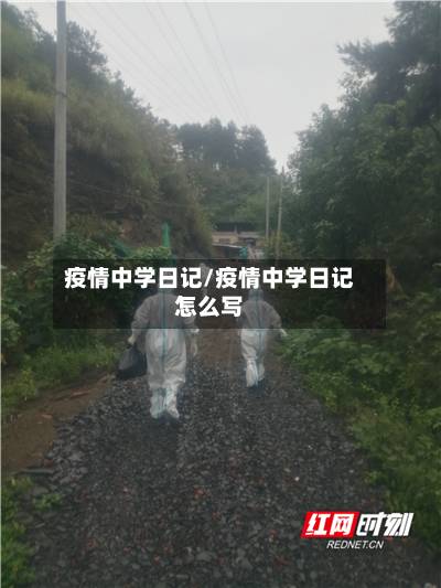 疫情中学日记/疫情中学日记怎么写-第1张图片