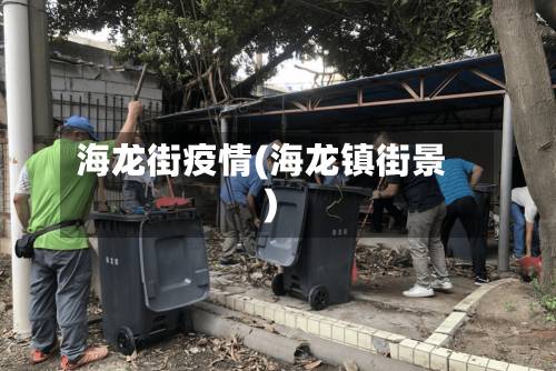 海龙街疫情(海龙镇街景)-第3张图片