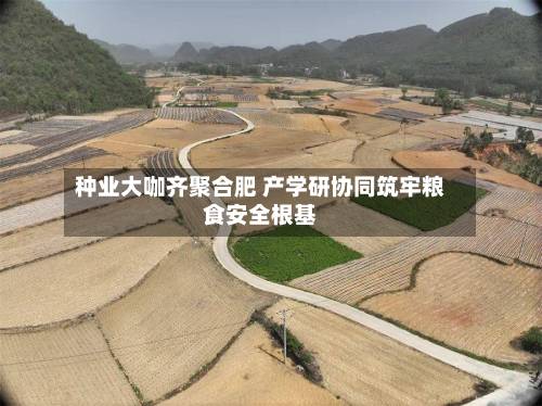 种业大咖齐聚合肥 产学研协同筑牢粮食安全根基-第2张图片