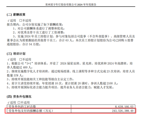 星宇股份再现重大财报差错，2.44万亿外包费用？